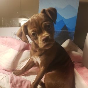 Meet your Posher, Barbara